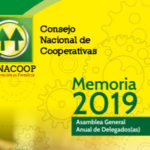 MEMORIA ANUAL 2020
