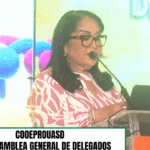 Captura de pantalla 2026-06-26 173101