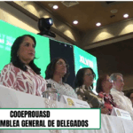Captura de pantalla 2026-06-26 174556